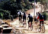 Cycling tour